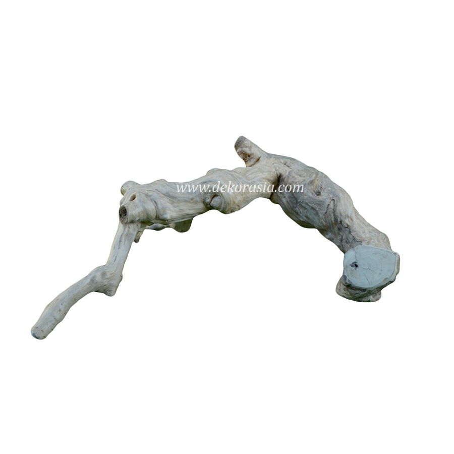 Coffee Wood (Size XS) for Jungle Gym Reptile, Vivariums Reptile, Aquarium, Aquascaping
